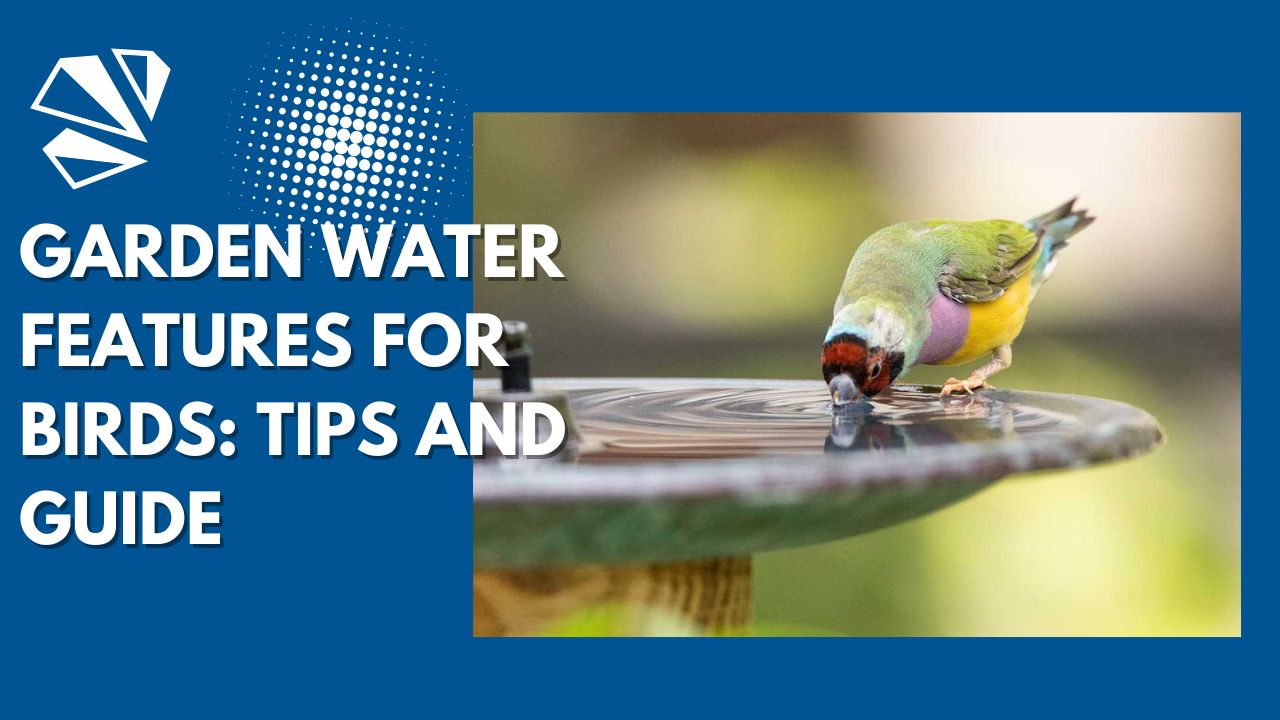 Garden Water Features For Birds Tips and Guide