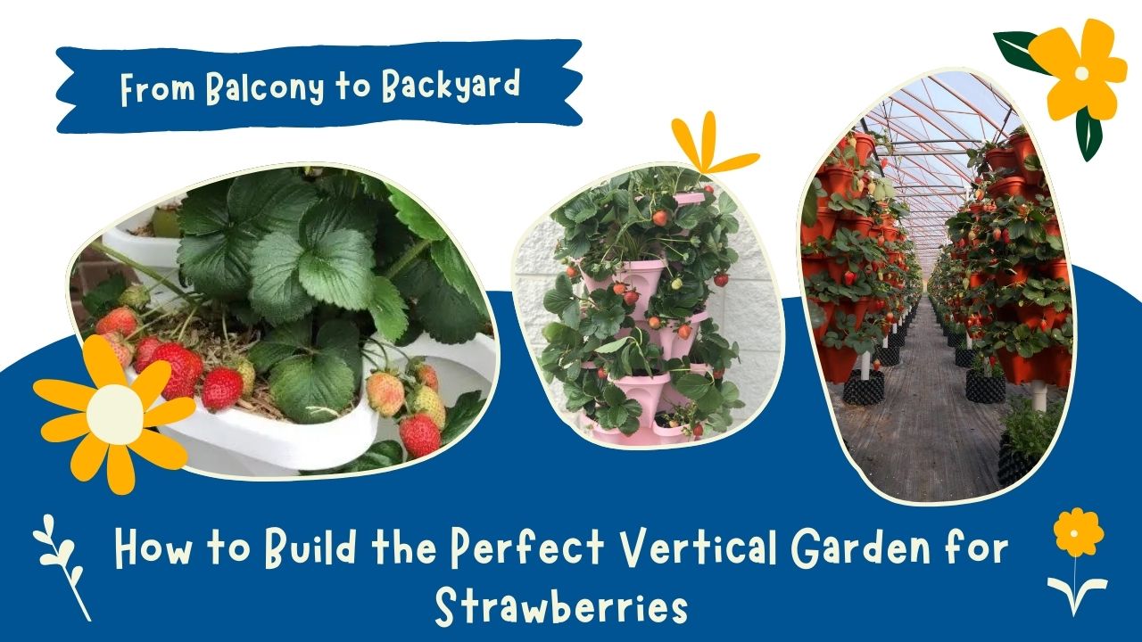 How to Build the Perfect Vertical Garden for Strawberries: From Balcony to Backyard