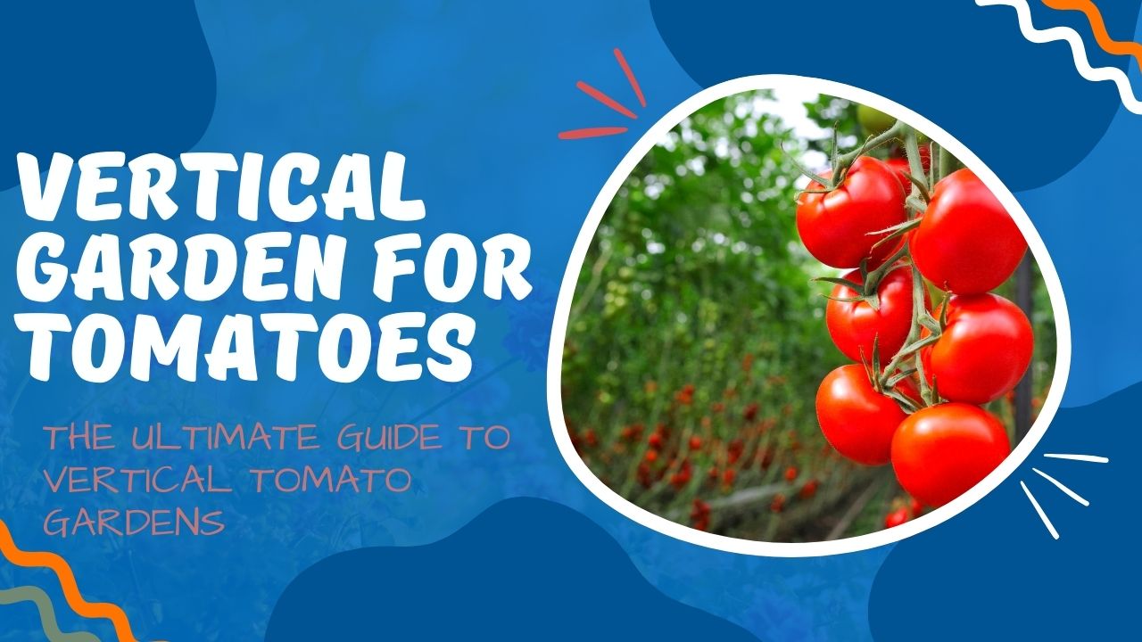 Vertical Garden For Tomatoes
