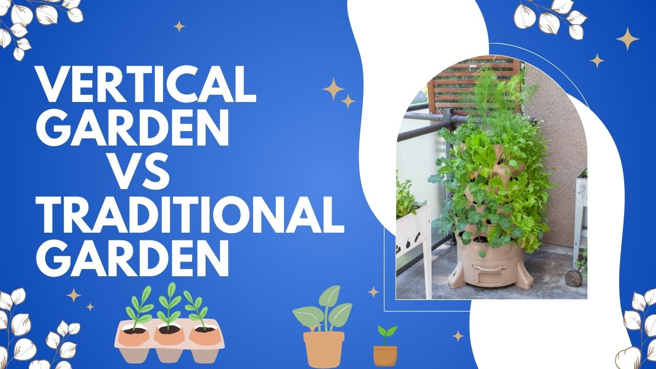 vertical garden vs traditional garden