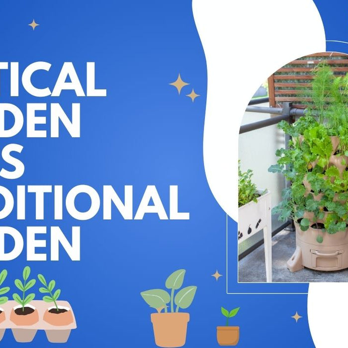vertical garden vs traditional garden
