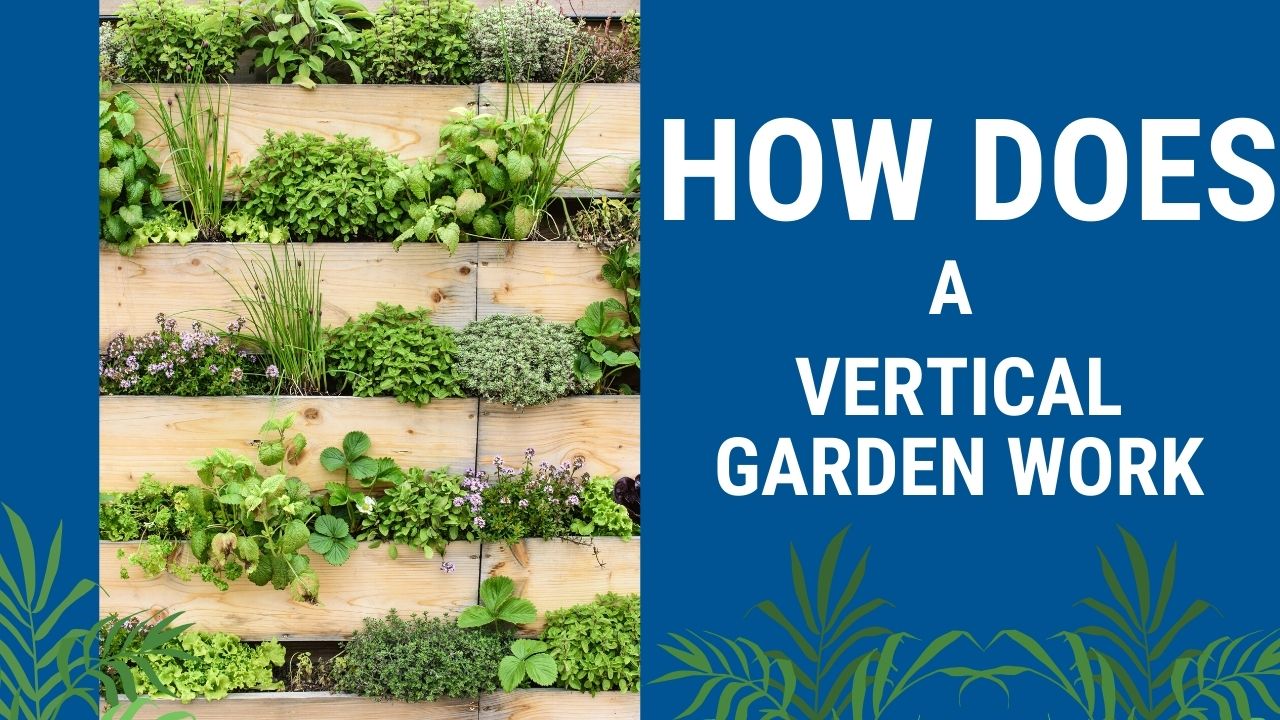 How Does a Vertical Garden Work