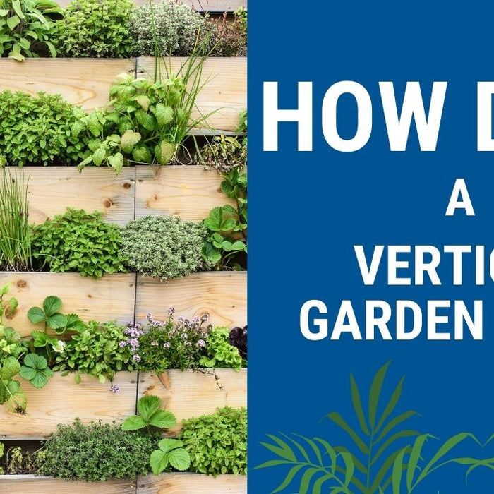 How Does a Vertical Garden Work