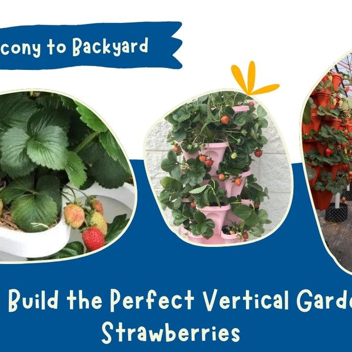 How to Build the Perfect Vertical Garden for Strawberries: From Balcony to Backyard