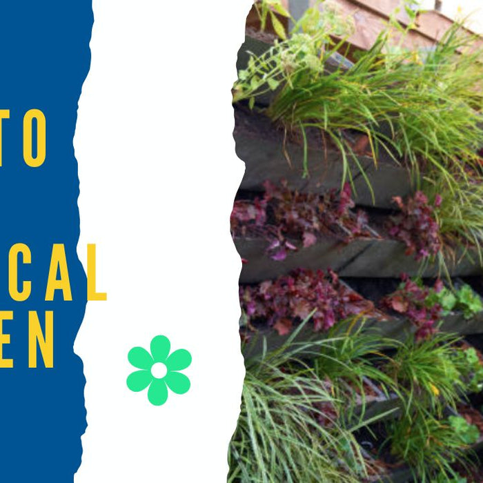 How to Make Vertical Garden