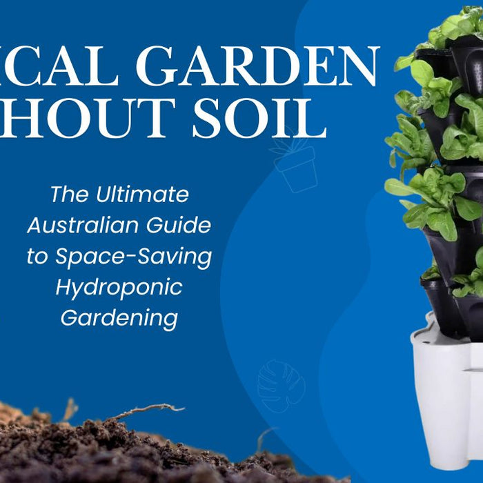 Vertical Garden Without Soil