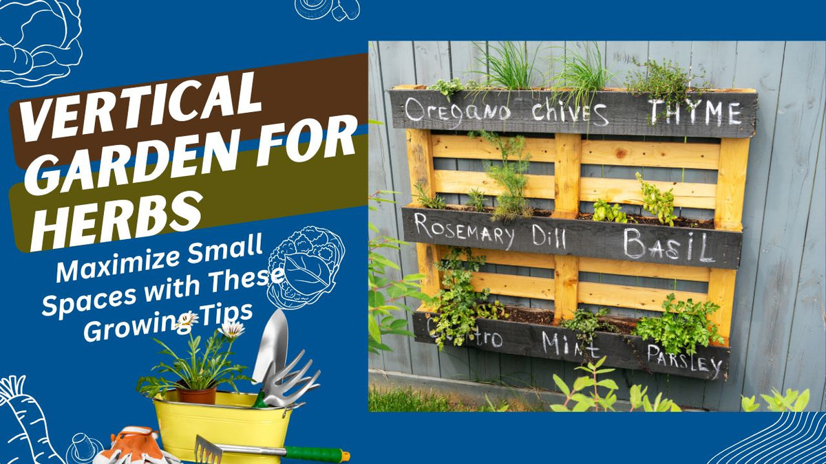 Vertical Garden for Herbs: Maximize Small Spaces with These Growing Ti ...