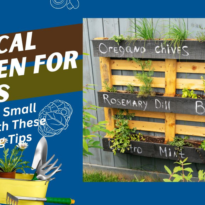 Vertical Garden for Herbs banner