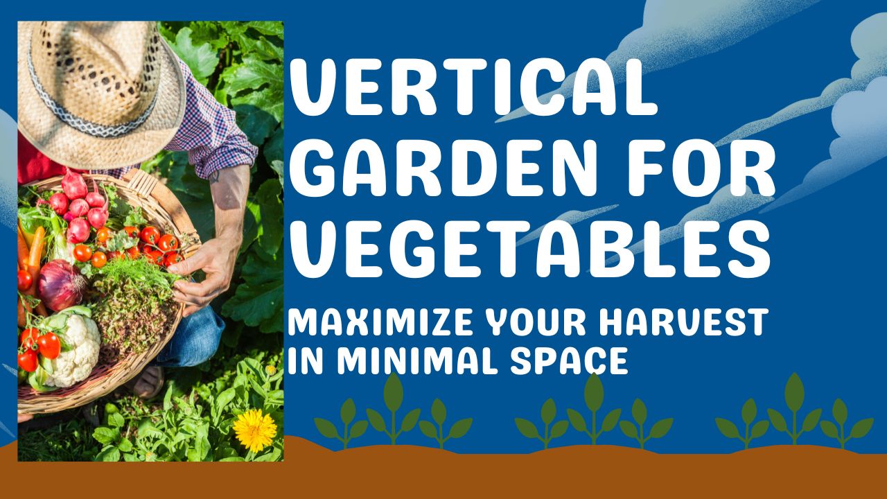 Vertical Garden for Vegetables