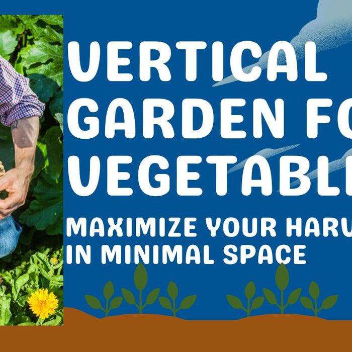 Vertical Garden for Vegetables