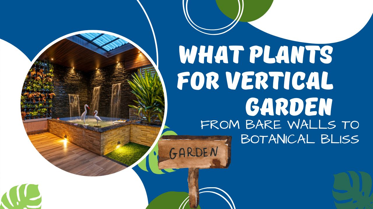 What Plants For Vertical Garden