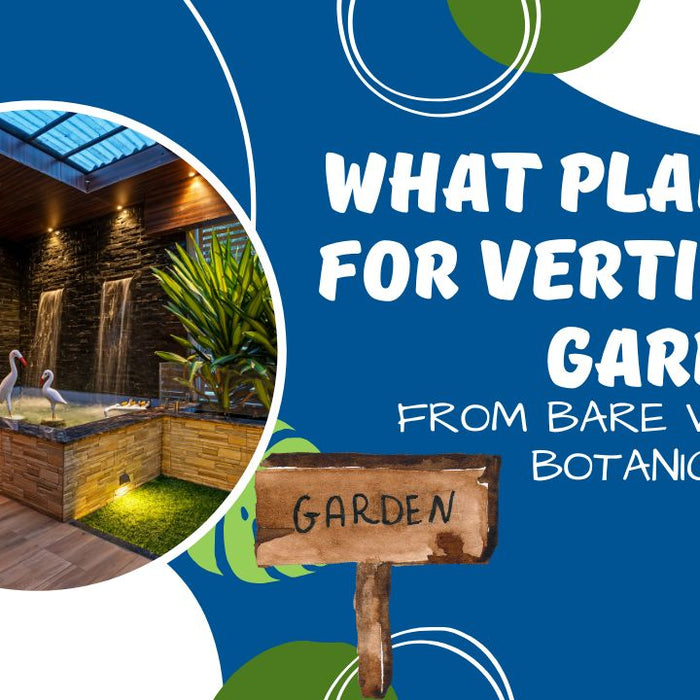 What Plants For Vertical Garden
