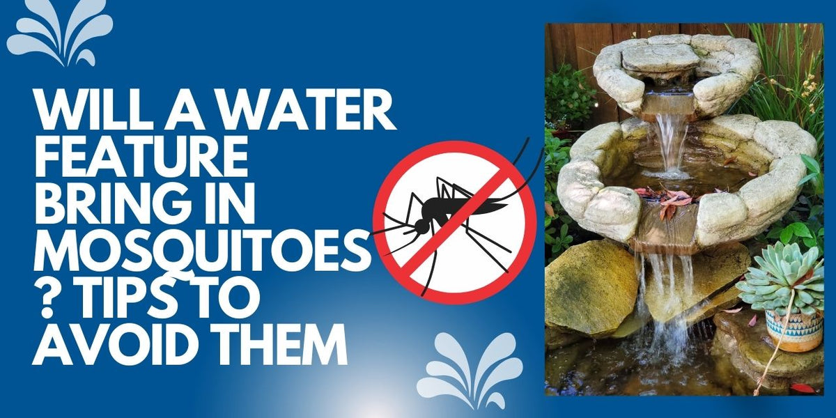 Will a Water Feature Bring in Mosquitoes? Tips to Avoid Them — Outdoor ...