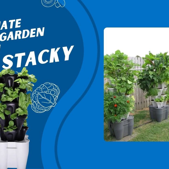 the ultimate vertical garden solution