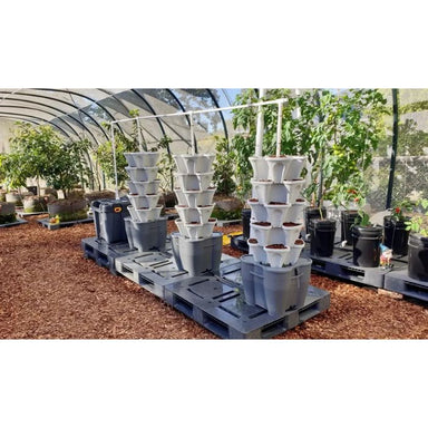 3 Tower Smart Farm Garden in the green house