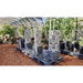 3 Tower Smart Farm Garden in the green house
