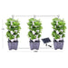 3 Tower Smart Farm Garden in the white background