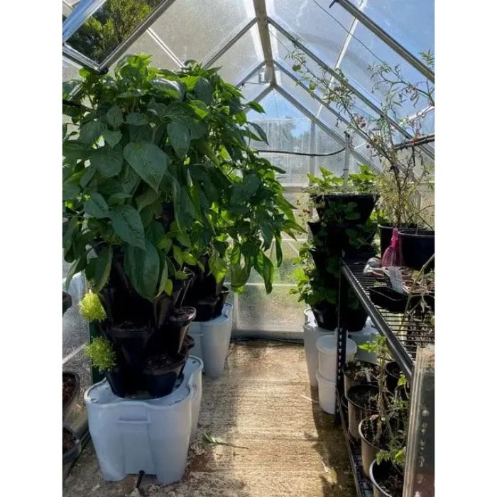 3 Tower Smart Farm Garden setup in the green house