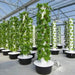 Air Stacky Aeroponic Tower Garden in the greenhouse