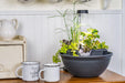 AquaGarden Tabletop Fountain on the coffee table