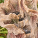 Close View of Barwon Driftwood Water Feature Fountain