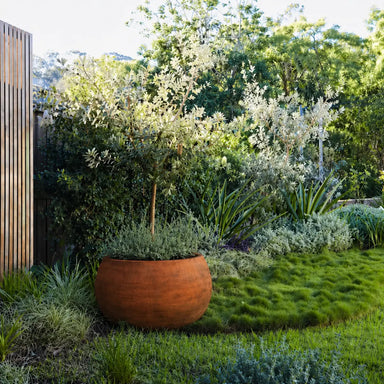 Corten Steel Botanic Bulbs Tree Planter in the garden