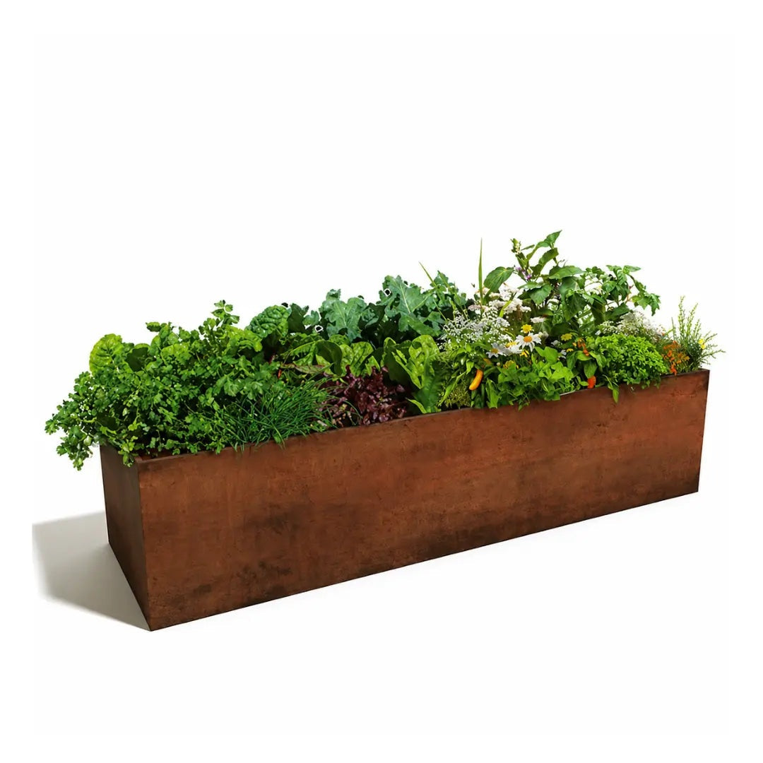 Corten Steel Grande Harvest Garden Bed and plant