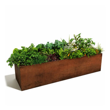 Corten Steel Grande Harvest Garden Bed and plant