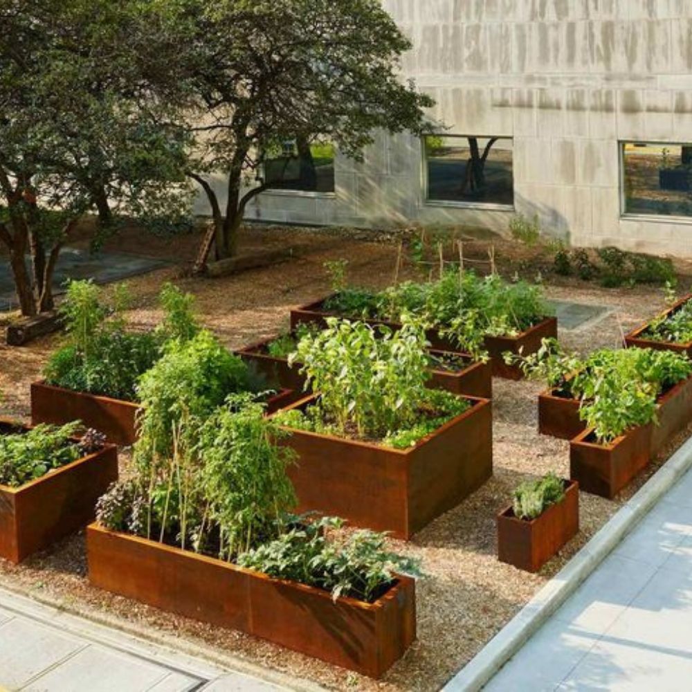Corten Steel Grande Harvest Garden Bed and plants