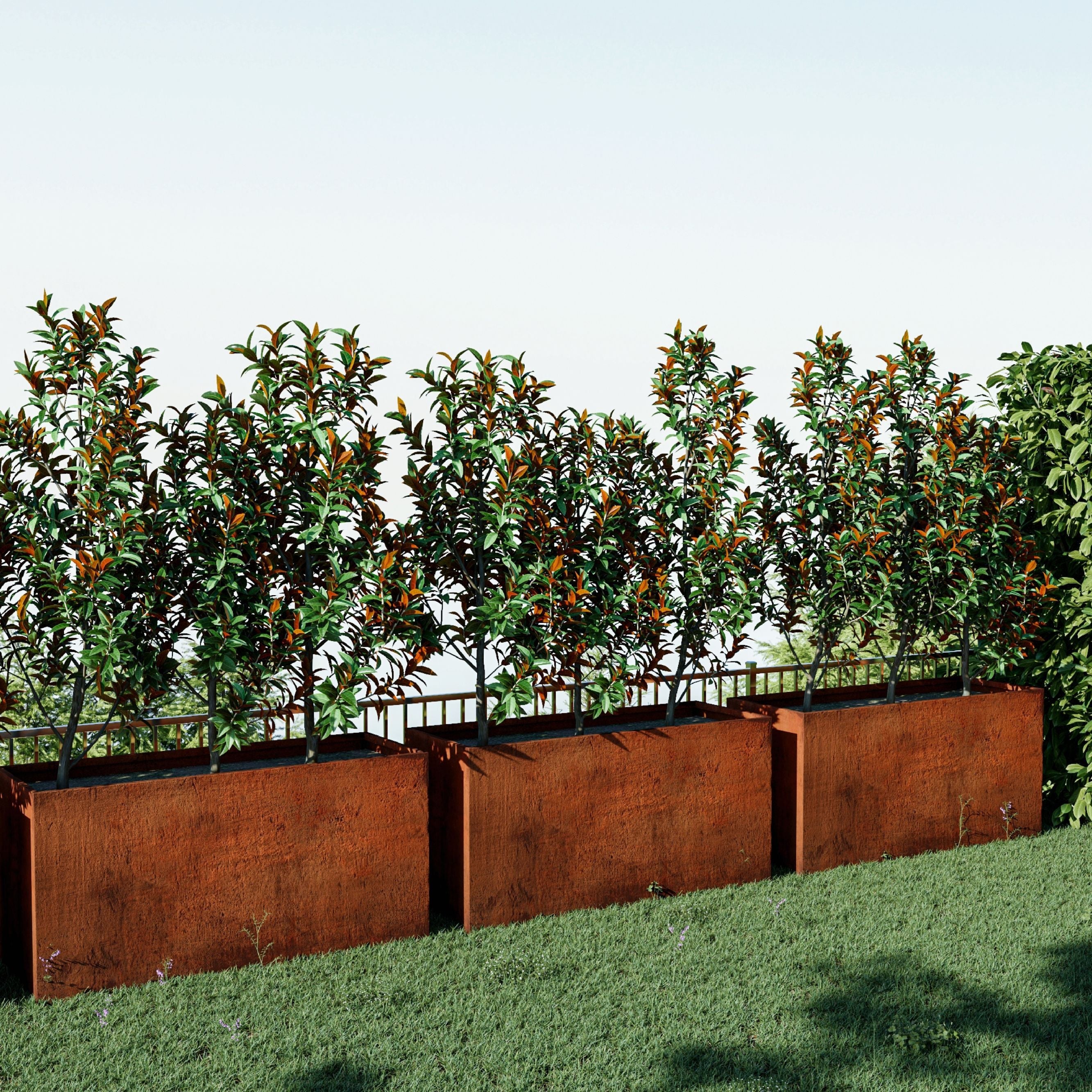 Corten Steel Sentinel Garden Planter Pot Range along the fence