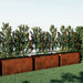 Corten Steel Sentinel Garden Planter Pot Range along the fence
