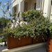 Corten Steel Sentinel Garden Planter Pot Range on the balcony