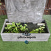 Dharma Buddha Face Wall Water Feature Grey with plant