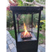 Fire and gas fire heater