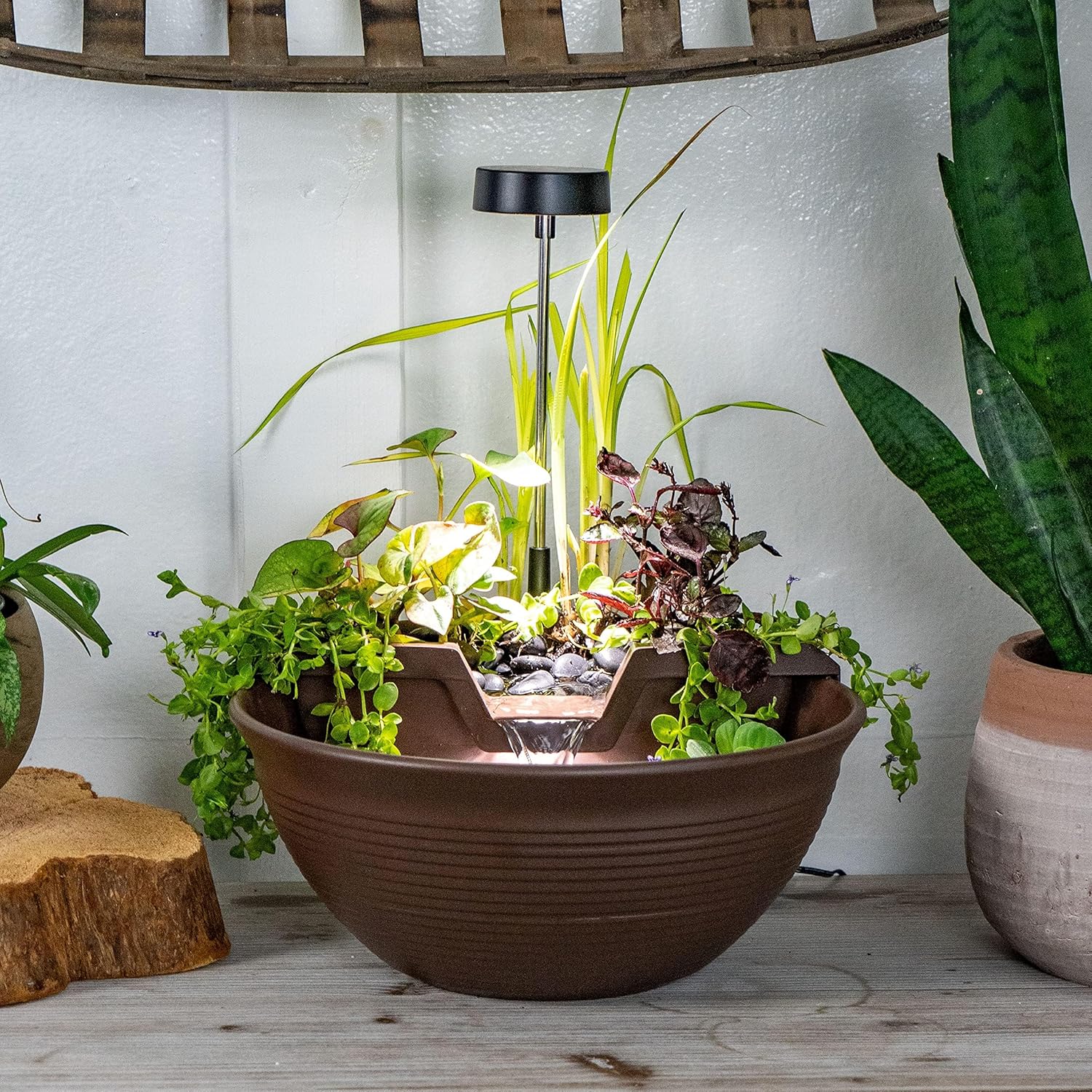 Front View AquaGarden Tabletop Fountain Kit Mocha