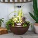 Front View AquaGarden Tabletop Fountain Kit Mocha