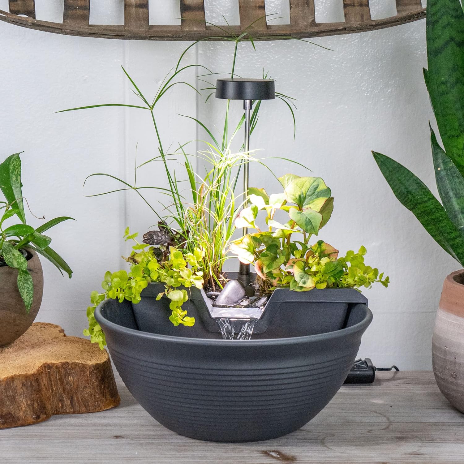 Front View AquaGarden Tabletop Fountain Kit Mocha