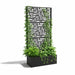 Metropolis Garden Screen Planter with green plant