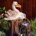 Pelican Seashore Roost Water Feature Fountain Natural Beauty