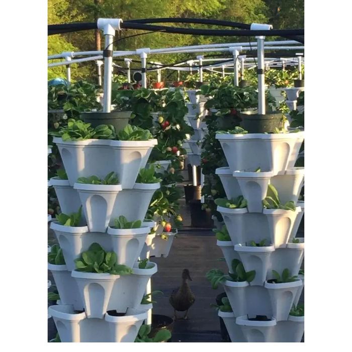 Smart Farming Vertical Tower setup