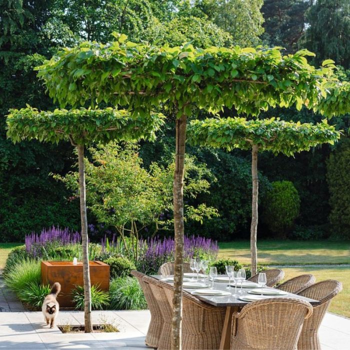 beautiful garden with water feature