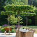 beautiful garden with water feature
