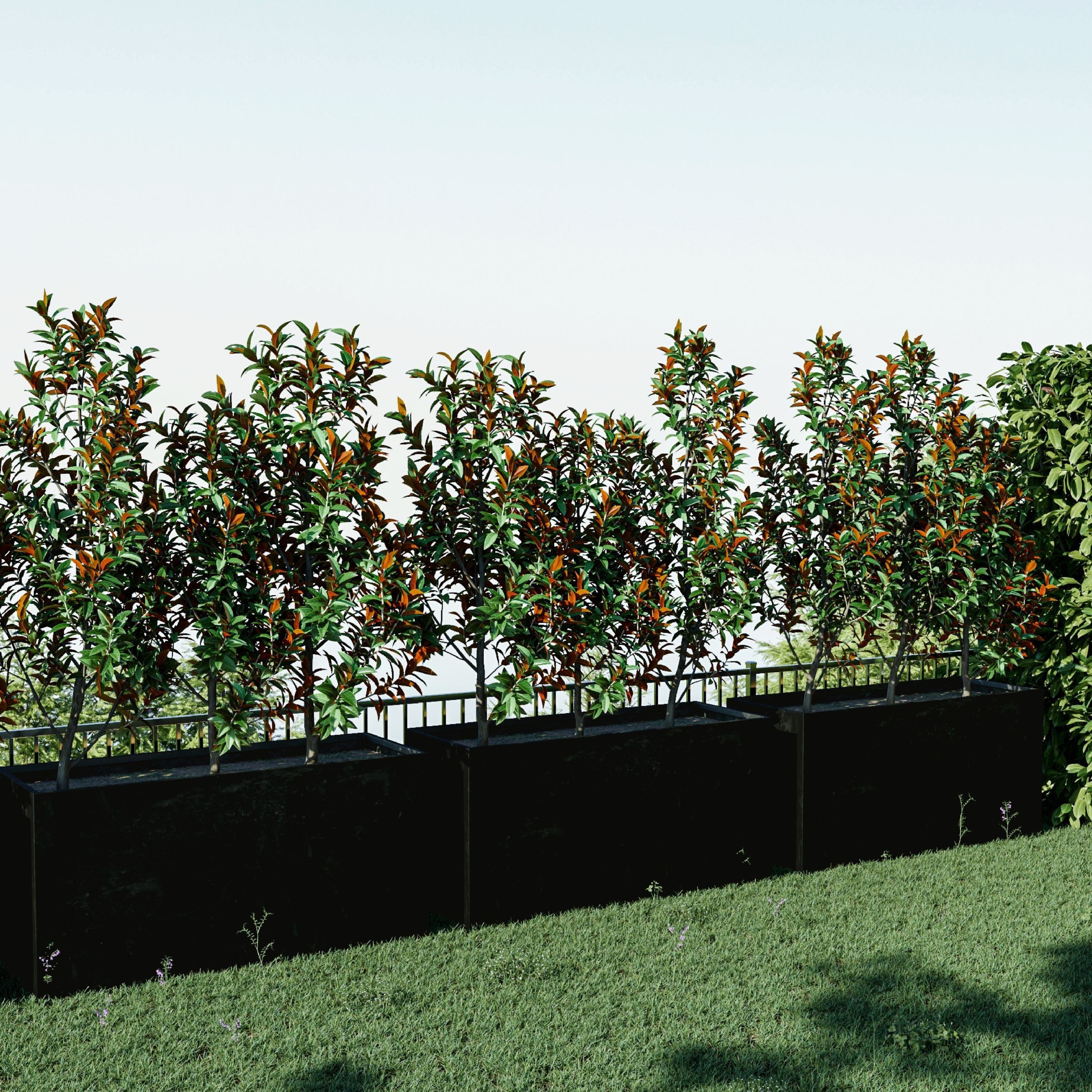 black colour Corten Steel Sentinel Garden Planter Pot Range