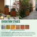 colour chart and Corten Steel Botanic Bulbs Tree Planter