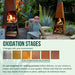 colour chart for Corten Steel Fire Pit – The Luminary