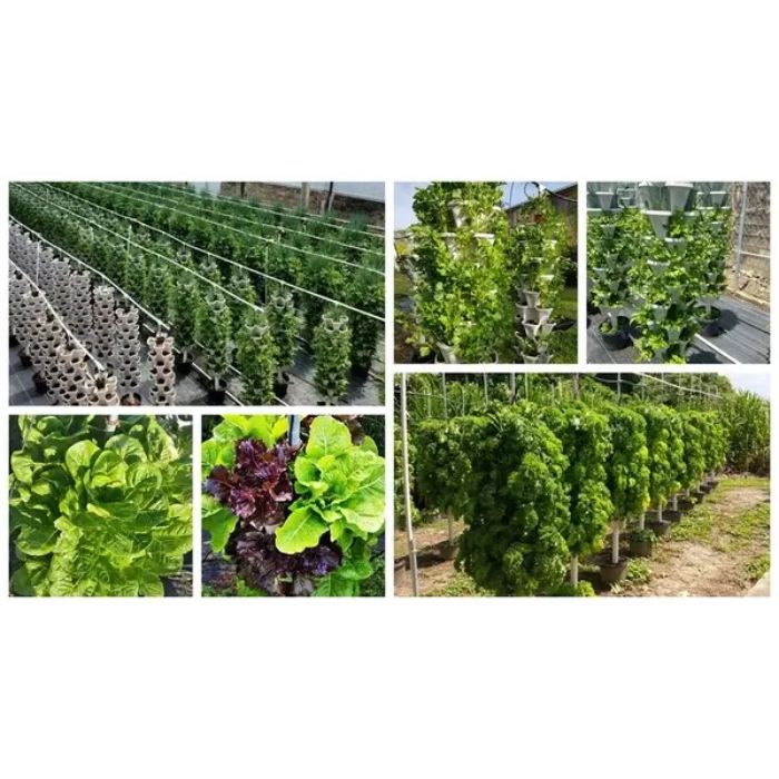 four images of farming
