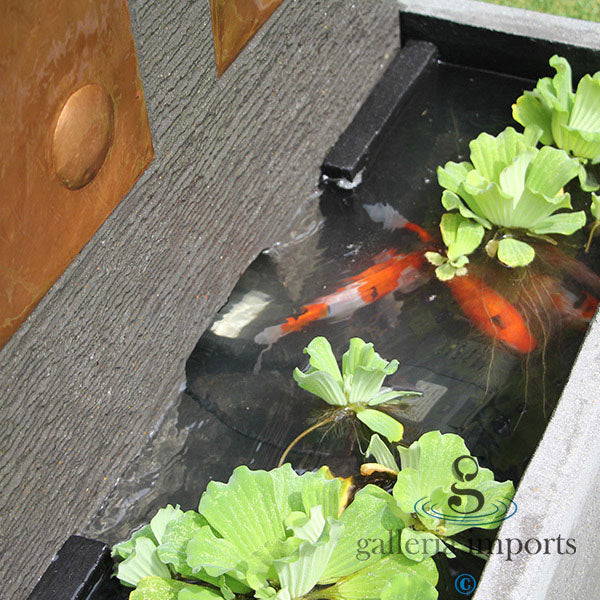 gold fish in the basin for bubble copper wall fountain