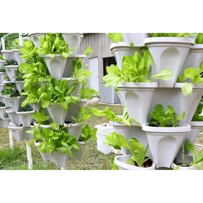 green leaf in the pots