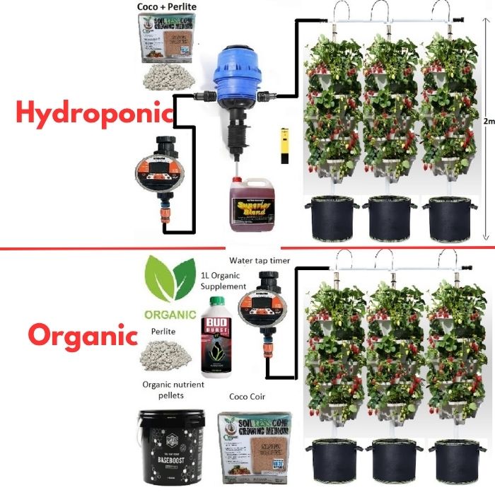 hydroponic and organic options