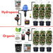hydroponic and organic options